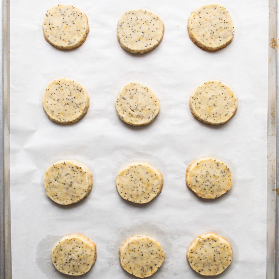 Lemon poppy seed cookies on a baking sheet.